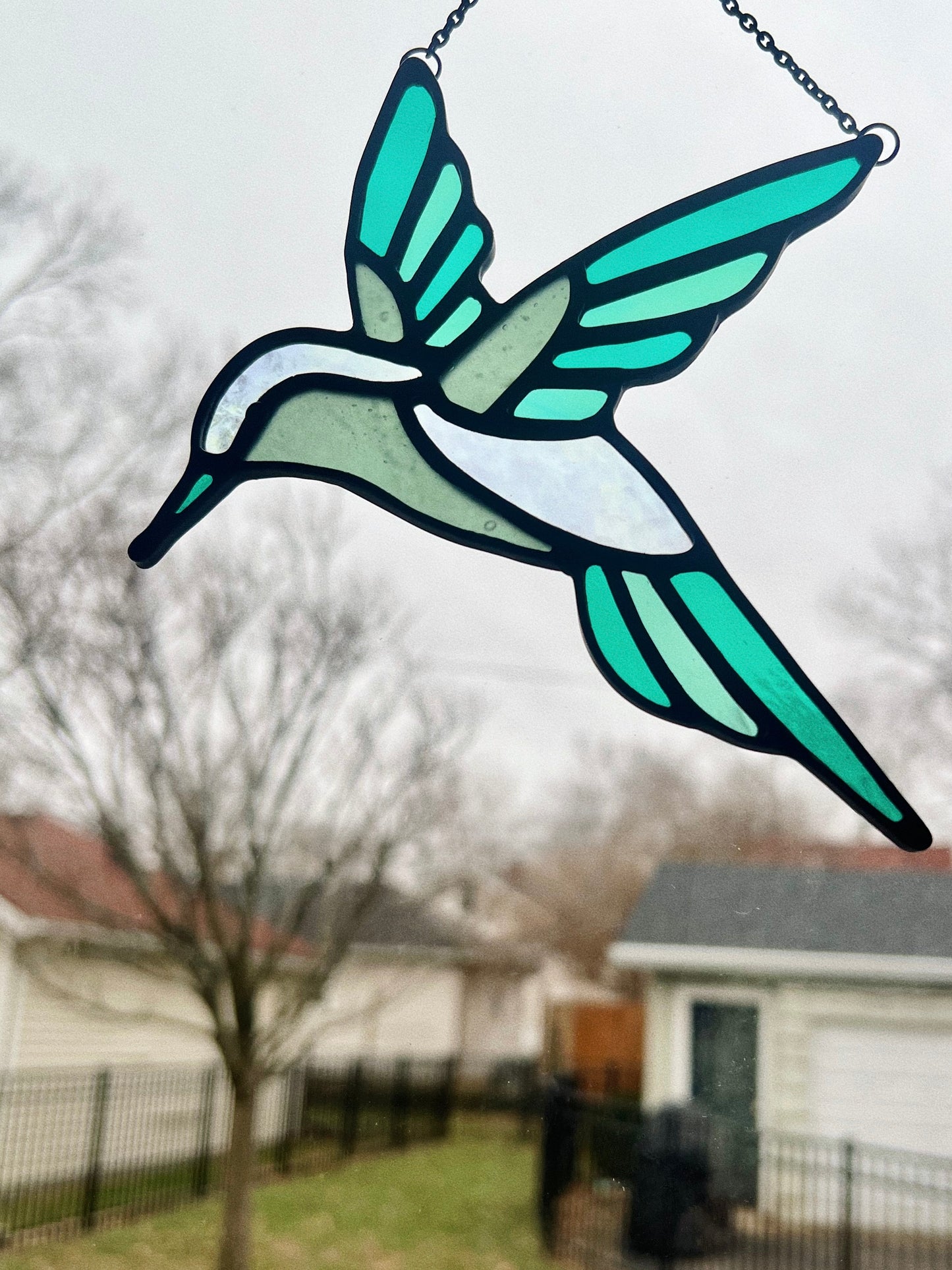 Detailed Hummingbird