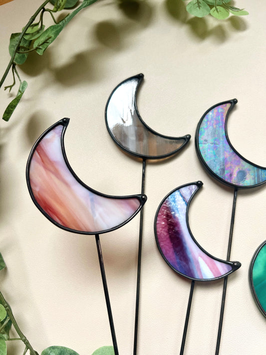 Mystery Moon Plant Stake