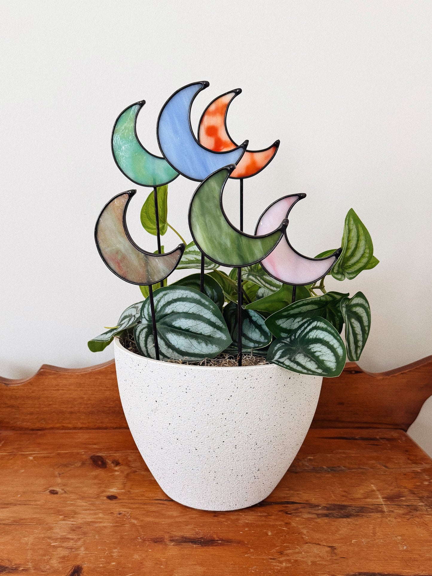 Moon Plant Stake